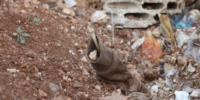 image 2025 11 26 14 17 17