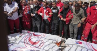 image 2025 03 31 23 09 46