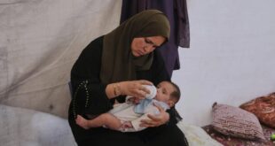 image 2025 05 24 14 47 06