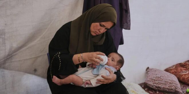 image 2025 05 24 14 47 06