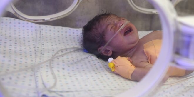 image 2025 07 01 19 54 22