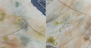 image 2025 08 05 22 32 20