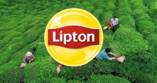 image 2025 12 04 20 16 06