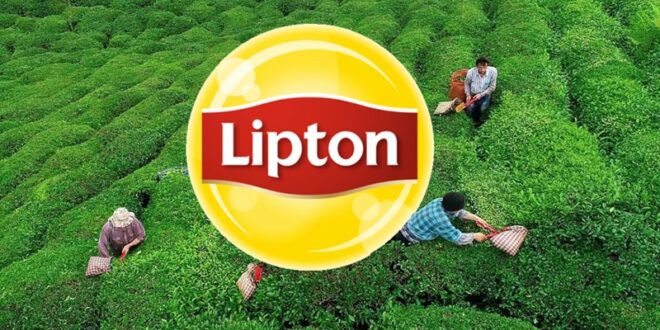 image 2025 12 04 20 16 06