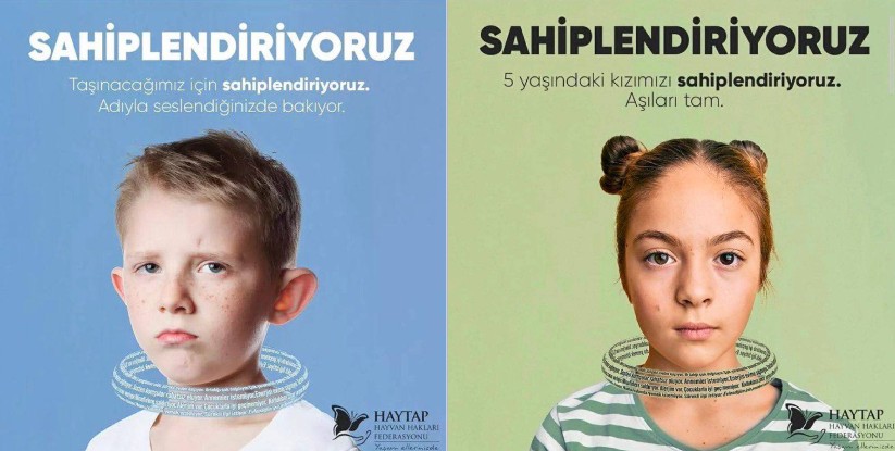 image 2026 02 03 18 37 12 image 2026 02 03 18 37 12