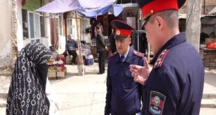 image 2025 04 06 13 58 30