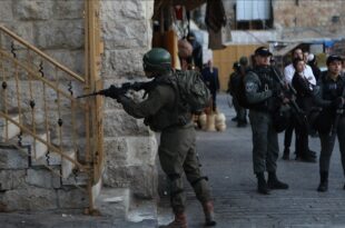 image 2025 11 06 16 42 59