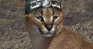 image 2025 03 22 22 01 38