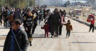 image 2025 09 15 19 35 10