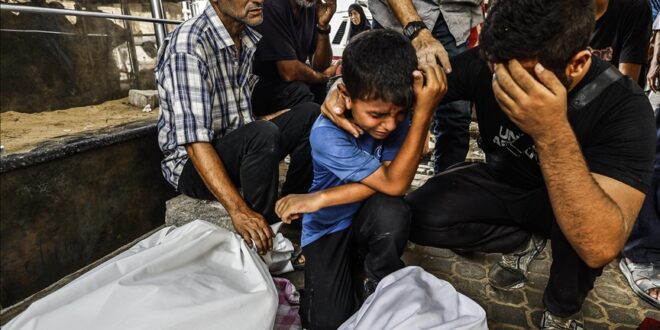 thumbs b c f7e539df868d95b6732ffbe899c97517