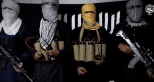 Screen Shot 2019 08 13 at 9.15.06 AM