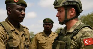 1099575446 0 0 1024 769 1920x0 80 0 0 670c7c17895a1b33d12b1daf280e84b6