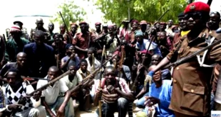 muhimmati kalmayan boko haram in ok yay ve pala gibi silahlarla savasacak h56628 67732 copy