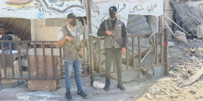 IMG 20251010 201247 741