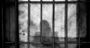 thumbs b c bdecb74bfcd574de4884af9401309208