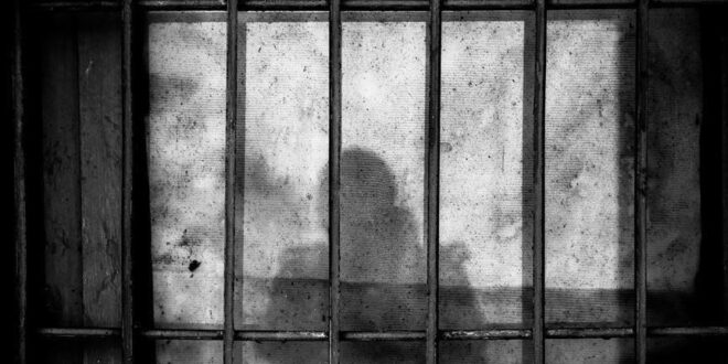 thumbs b c bdecb74bfcd574de4884af9401309208