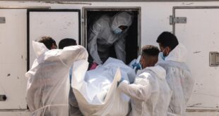 image 2025 11 01 16 38 22