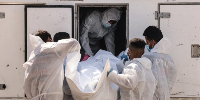 image 2025 11 01 16 38 22