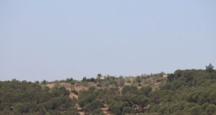 image 2025 10 09 10 49 06