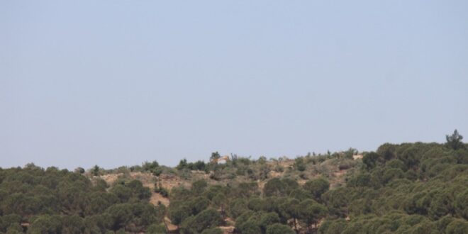 image 2025 10 09 10 49 06