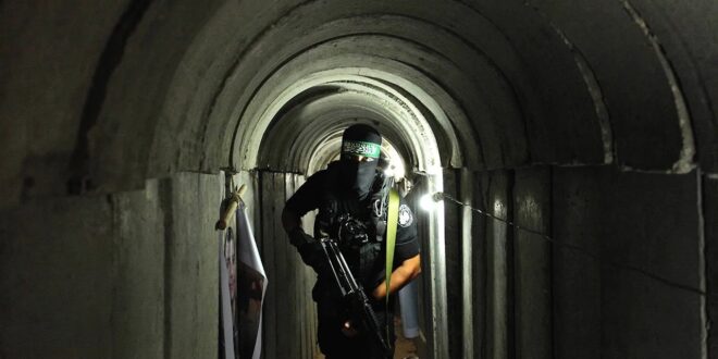 image 2025 09 01 21 04 08