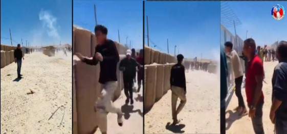 image 2025 05 29 23 47 23