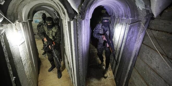 image 2025 11 12 17 52 25