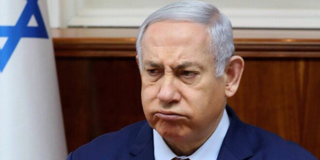 photo 2025 11 07 16 06 02