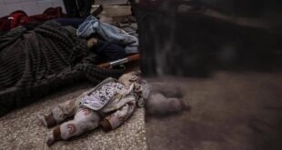 5967688399177500919 121 (0)