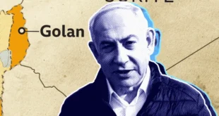 6f983230 b657 11ef a0f2 fd81ae5962f4.png