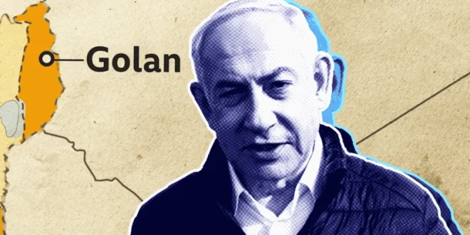 6f983230 b657 11ef a0f2 fd81ae5962f4.png