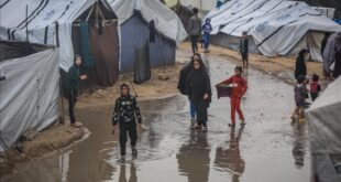 thumbs b c e0e23f9f9b76c14e2972da3041c0ca08