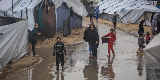 thumbs b c e0e23f9f9b76c14e2972da3041c0ca08