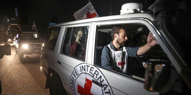 image 2025 10 14 20 19 26