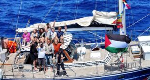 image 2025 06 11 13 03 31