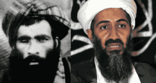 Mullah Omar Osama bin Laden