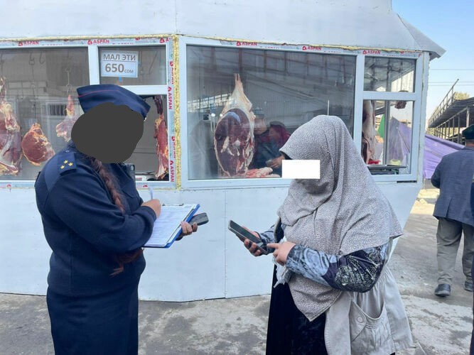 image 2025 11 03 21 14 09