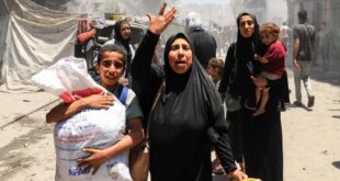 image 2025 05 30 15 44 50