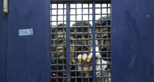 image 2025 11 11 14 11 21