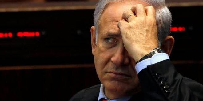 photo 2025 05 21 23 46 19