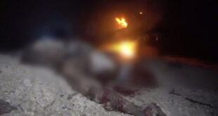 photo 2025 04 18 14 18 07