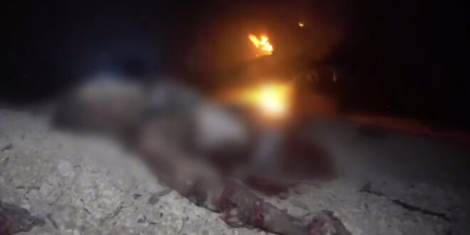 photo 2025 04 18 14 18 07