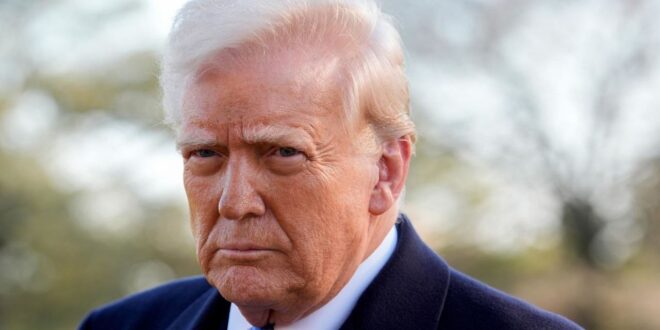 photo 2025 04 26 01 01 17