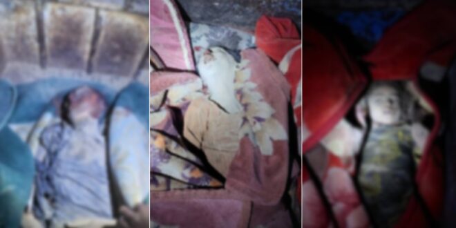 image 2025 11 25 12 33 08