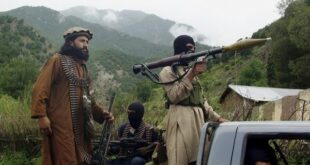 image 2025 03 29 15 47 14