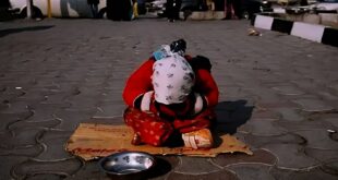 photo 2025 04 15 04 50 37