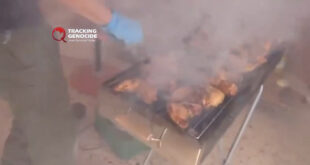 photo 2025 05 16 16 48 39