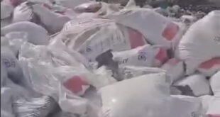 photo 2025 05 28 18 05 39