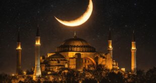 image 2026 02 17 18 51 09