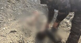 5940614389927364148 121